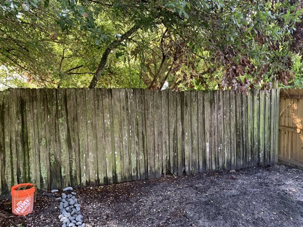 Affordable residential landscaping experts serving Pinellas Park, FL - Salty Bums Property Maintenance