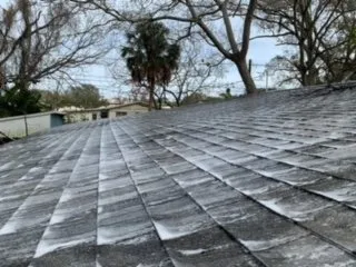 Trusted lawn mowing service for homes in Pinellas Park, FL by Salty Bums Property Maintenance