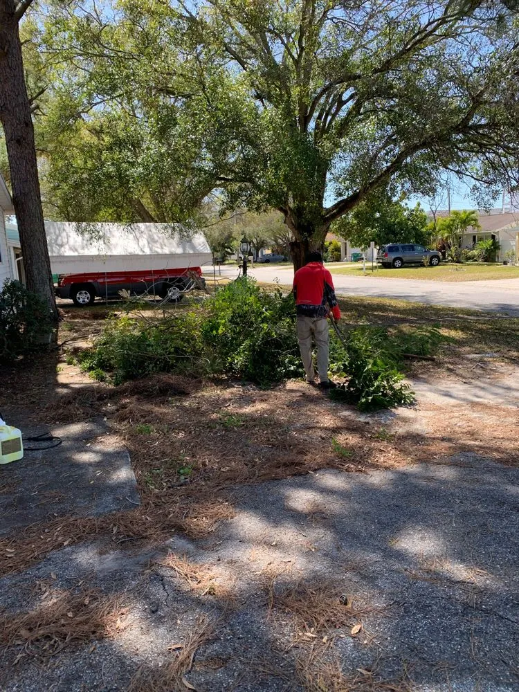 Trusted yard cleanup service in Pinellas Park, FL by Salty Bums Property Maintenance