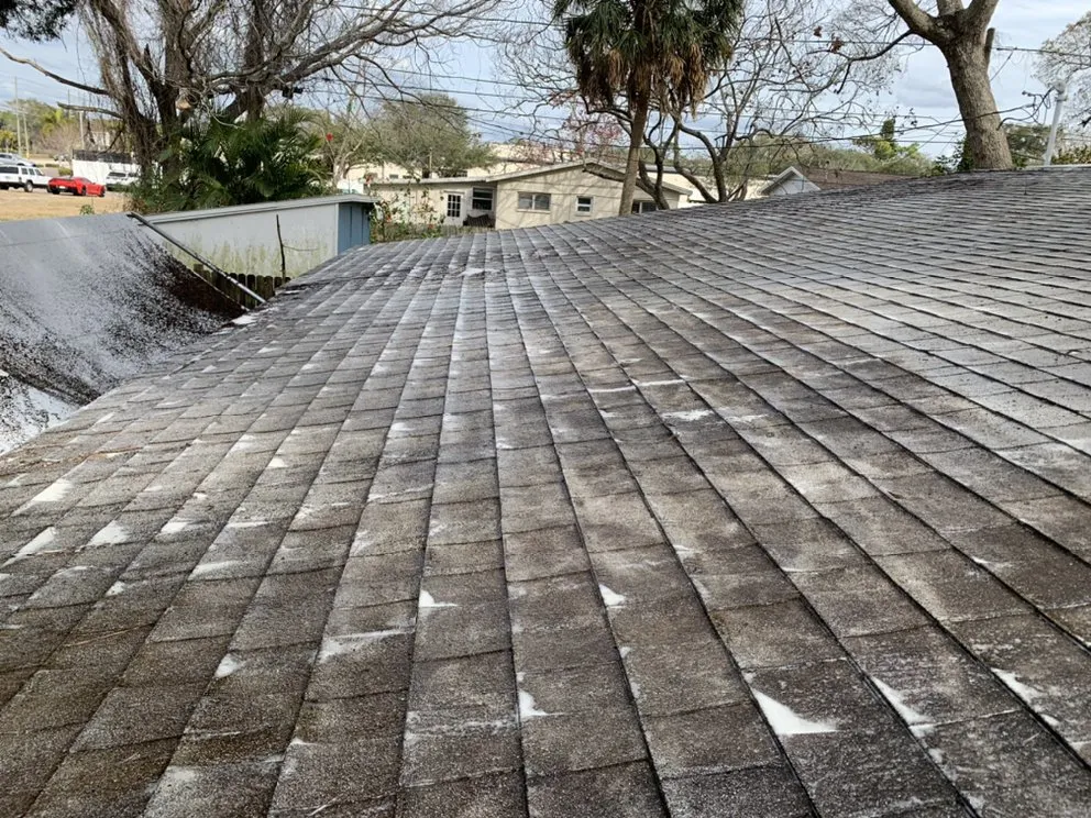 Reliable landscape design for outdoor upgrades across Pinellas Park, FL - Salty Bums Property Maintenance