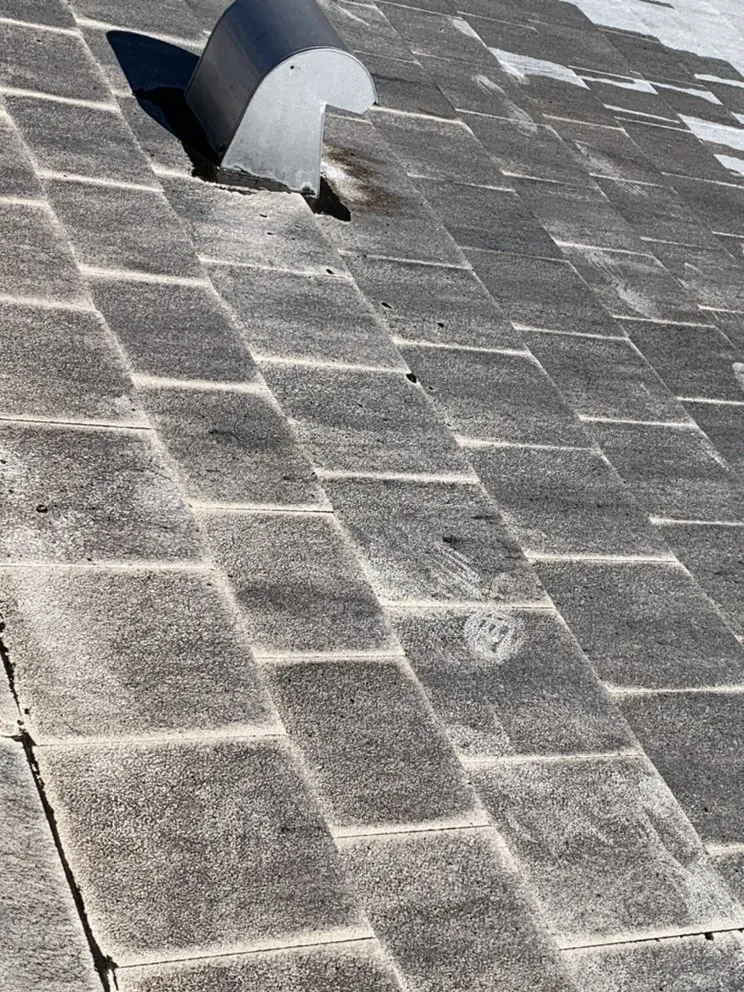 Affordable yard cleanup service for outdoor upgrades across Pinellas Park, FL - Salty Bums Property Maintenance