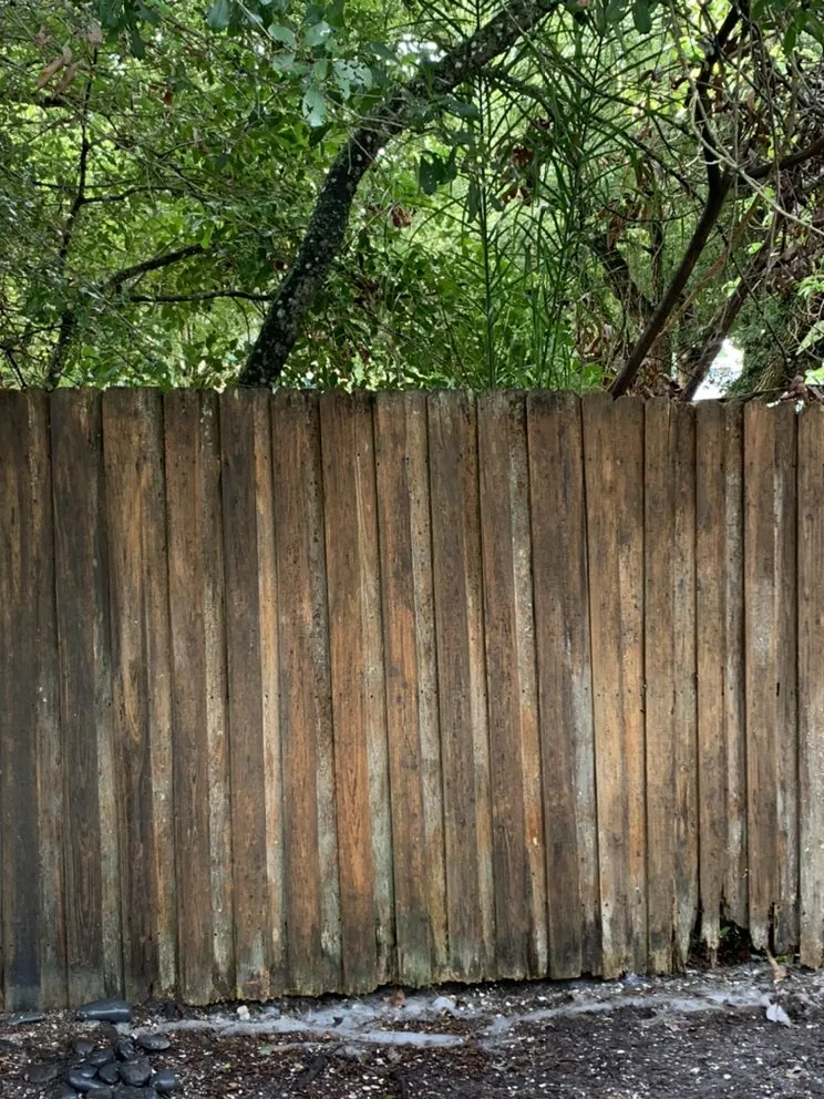 Trusted yard maintenance for beautiful yards in Pinellas Park, FL by Salty Bums Property Maintenance