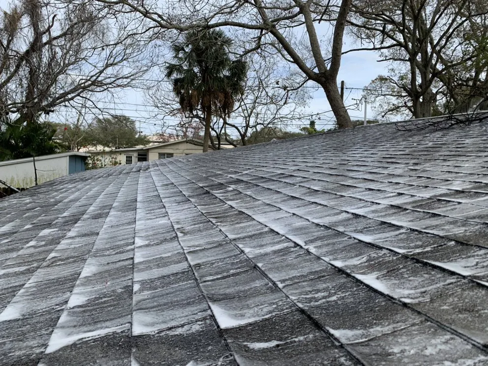 Custom residential landscaping for outdoor upgrades in Pinellas Park, FL by Salty Bums Property Maintenance