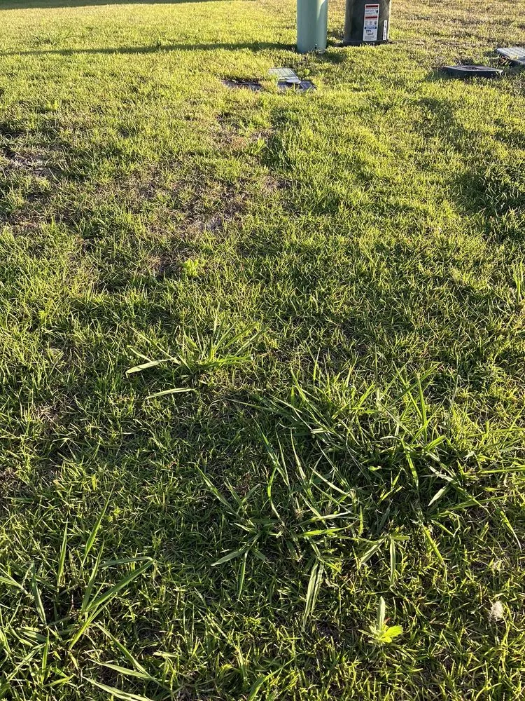 Top-rated outdoor landscaping in Leland, NC - Salty Dog Lawn Care And Landscaping