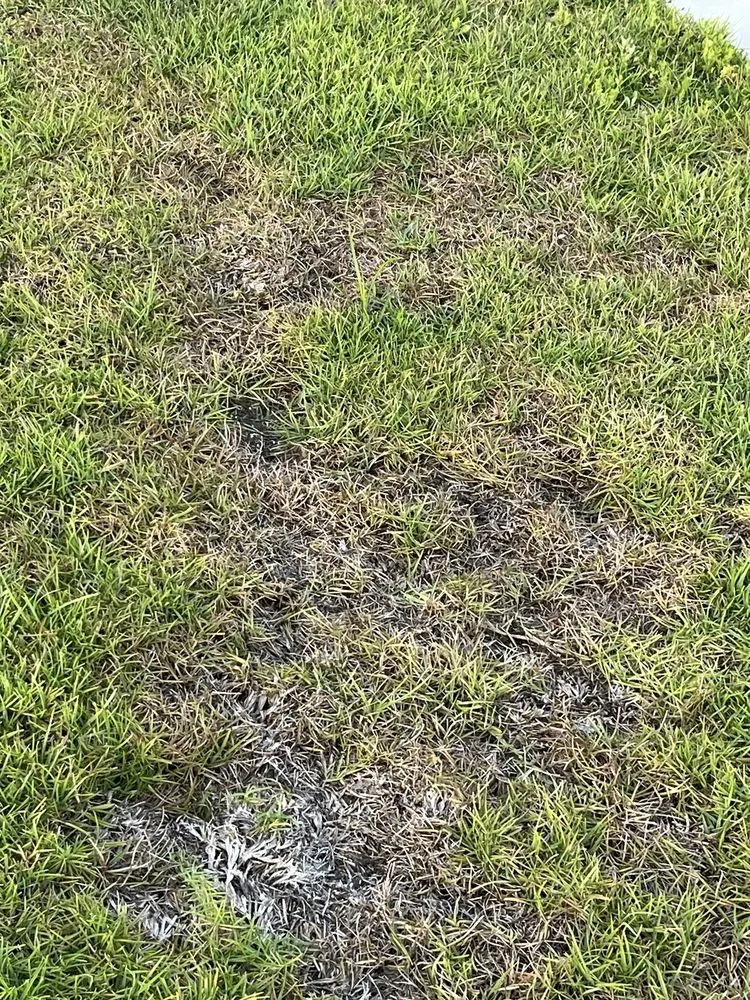 Local residential landscaping with custom design across Leland, NC - Salty Dog Lawn Care And Landscaping