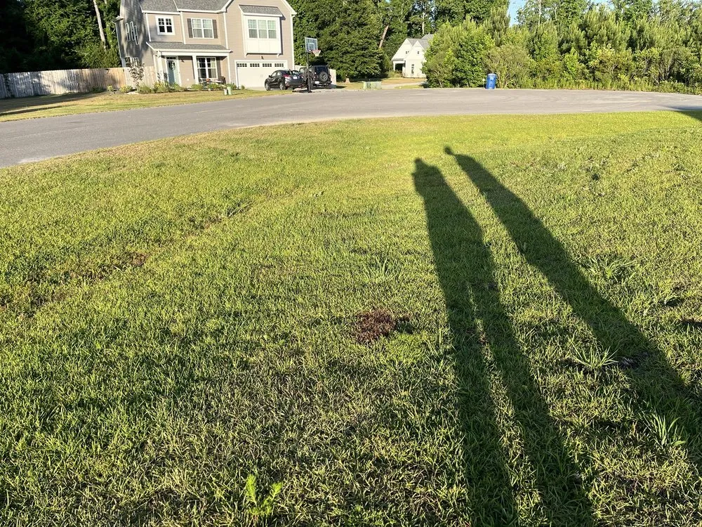 Trusted lawn mowing service in Leland, NC - Salty Dog Lawn Care And Landscaping