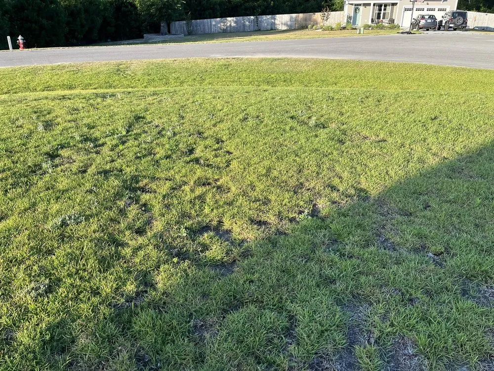 Expert landscape design in Leland, NC by Salty Dog Lawn Care And Landscaping