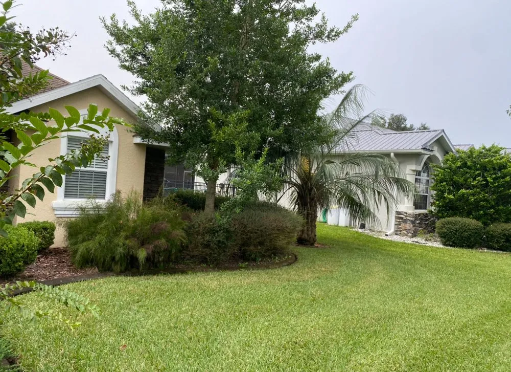 Top-rated outdoor landscaping for year-round maintenance across Clermont, FL - Salty Moons Management