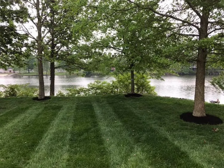 Top-rated landscaping services for beautiful yards in Kennett, MO by Saltzman Landscaping
