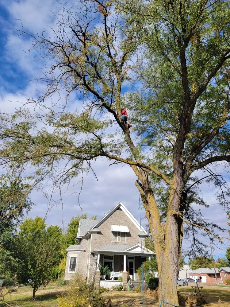 Reliable outdoor landscaping in Crete, NE - Salud Construction