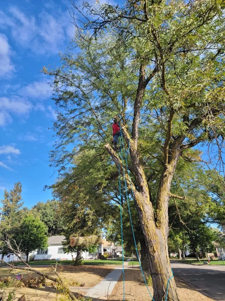 Custom yard cleanup service in Crete, NE - Salud Construction