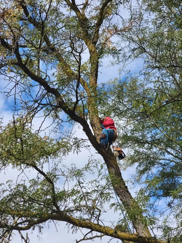 Top-rated landscape design experts serving Crete, NE - Salud Construction