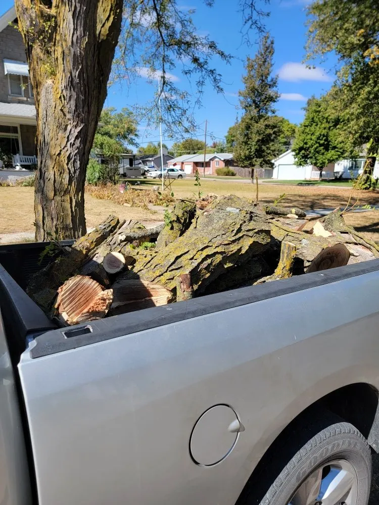 Professional yard maintenance in Crete, NE - Salud Construction