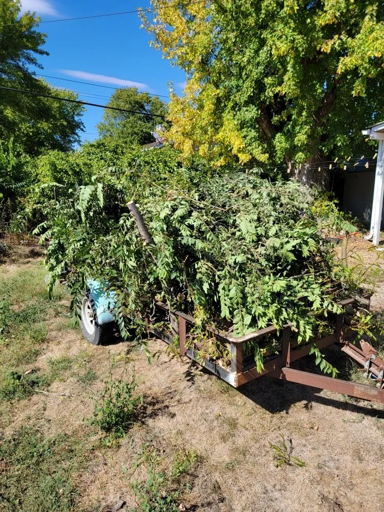 Local landscape design in Crete, NE by Salud Construction
