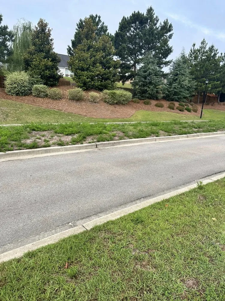 Affordable lawn care service in Lexington, SC - Saluda Hill Landscapes