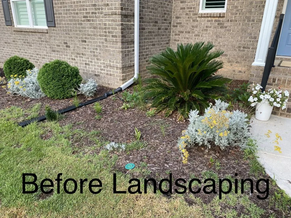 Expert yard maintenance experts serving Lexington, SC - Saluda Hill Landscapes
