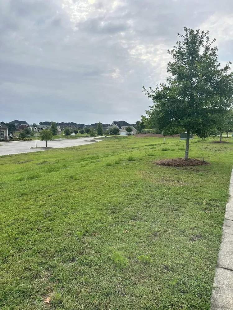 Professional lawn mowing service in Lexington, SC - Saluda Hill Landscapes