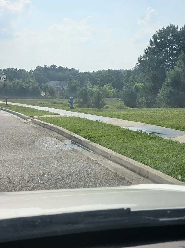 Professional outdoor landscaping near you across Lexington, SC - Saluda Hill Landscapes