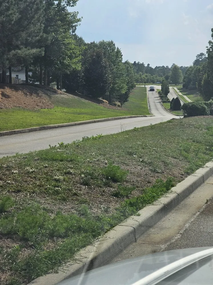 Professional yard maintenance for outdoor upgrades across Lexington, SC - Saluda Hill Landscapes