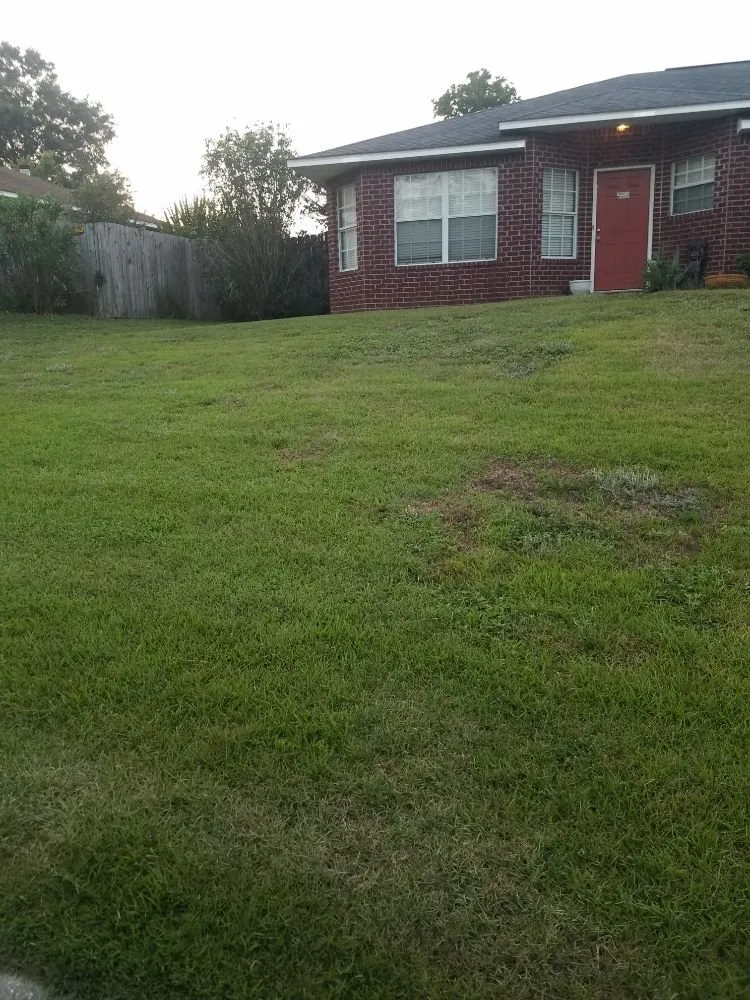 Custom lawn care service in Cantonment, FL - Salute Their Service Lawn Care