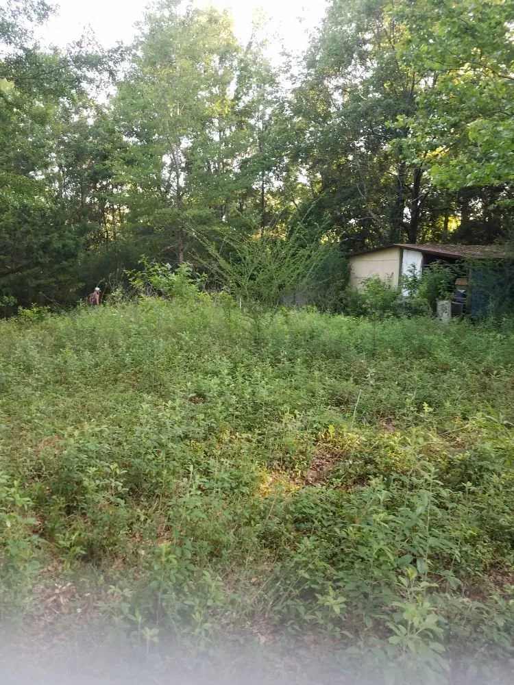 Affordable outdoor landscaping experts serving Cantonment, FL - Salute Their Service Lawn Care