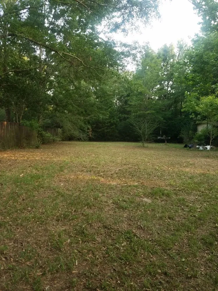 Local yard maintenance in Cantonment, FL - Salute Their Service Lawn Care