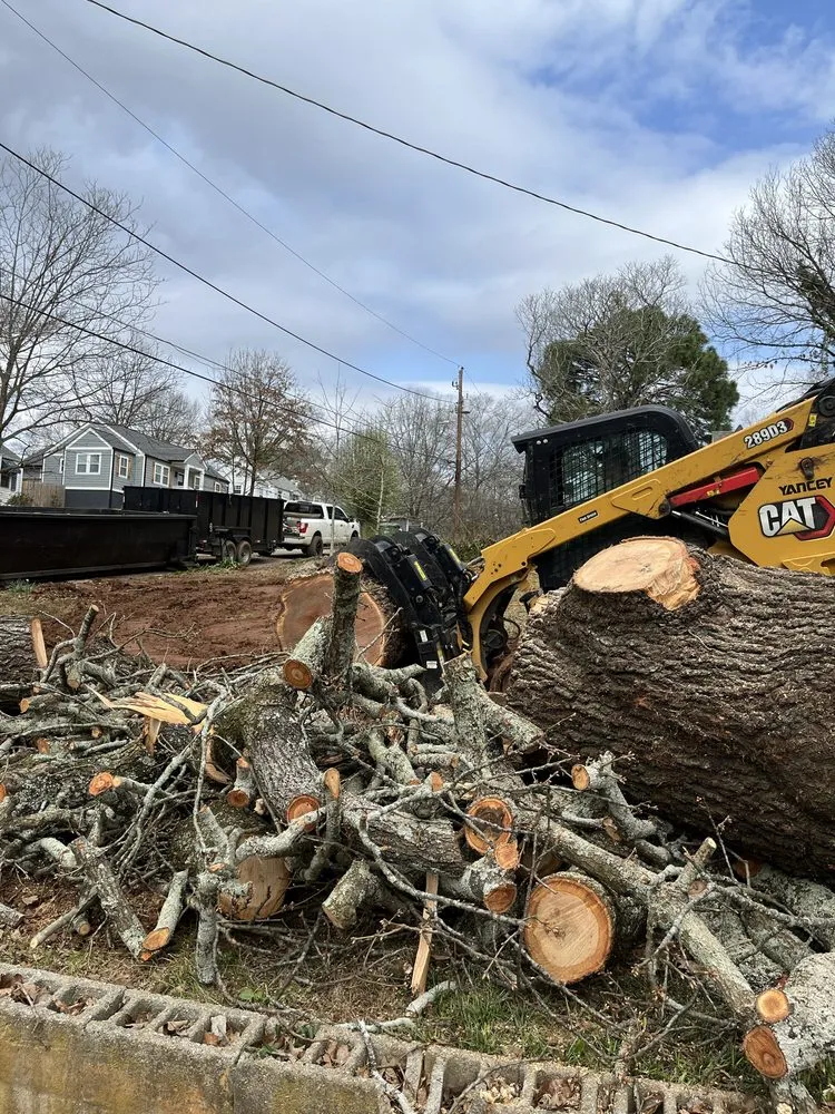 Trusted yard cleanup service for year-round maintenance in Milton, GA by Salva Landscaping