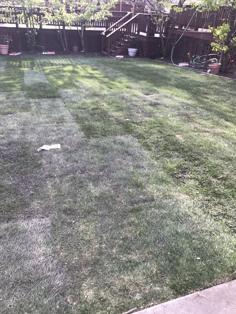Affordable lawn mowing service with custom design across Skokie, IL - Salvador & Eli's Landscaping Services