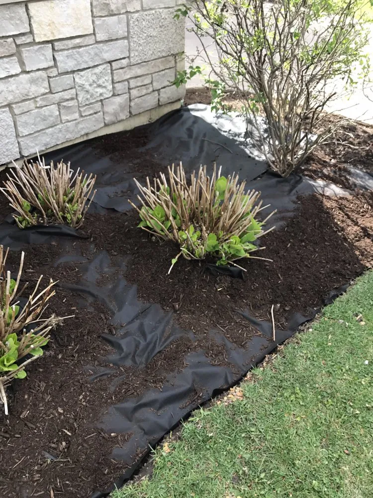 Trusted landscape installation for outdoor upgrades across Skokie, IL - Salvador & Eli's Landscaping Services
