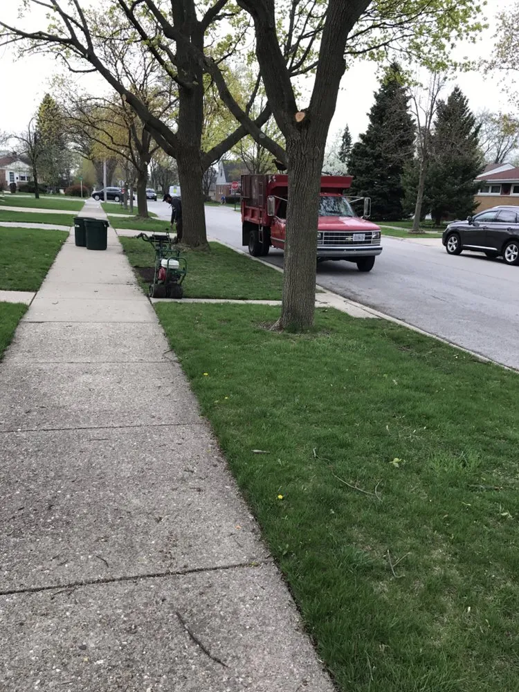 Local landscape installation for residential properties in Skokie, IL by Salvador & Eli's Landscaping Services