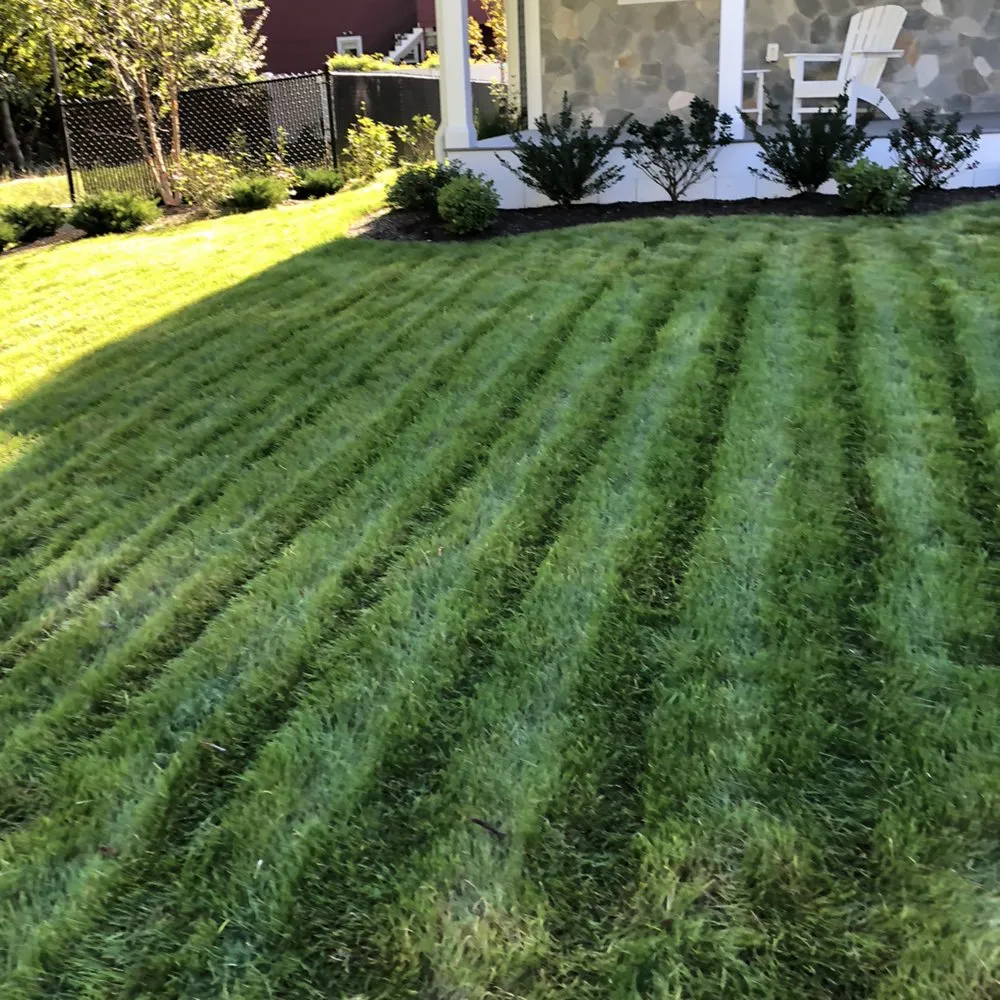 Custom lawn mowing service in Boston, MA by Salvador & Son Landscaping