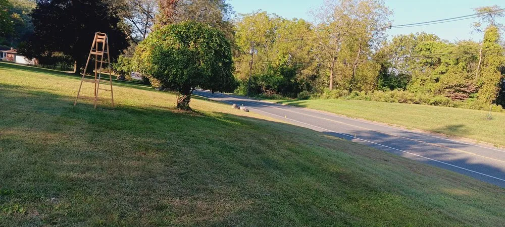 Affordable yard cleanup service for homes in Hackettstown, NJ by Salvador Cantoral Landscaping