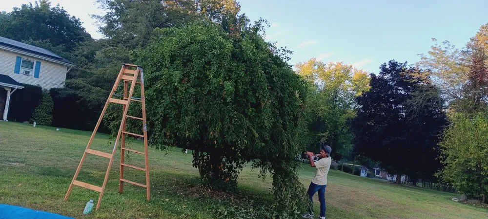 Custom lawn mowing service experts serving Hackettstown, NJ - Salvador Cantoral Landscaping