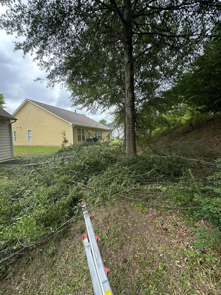 Affordable yard cleanup service in Fairburn, GA by Salvador Landscape and Renovations