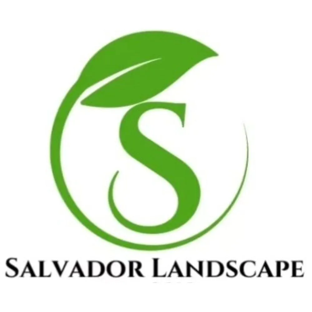 Trusted yard cleanup service experts serving Sacramento, CA - Salvador Landscape