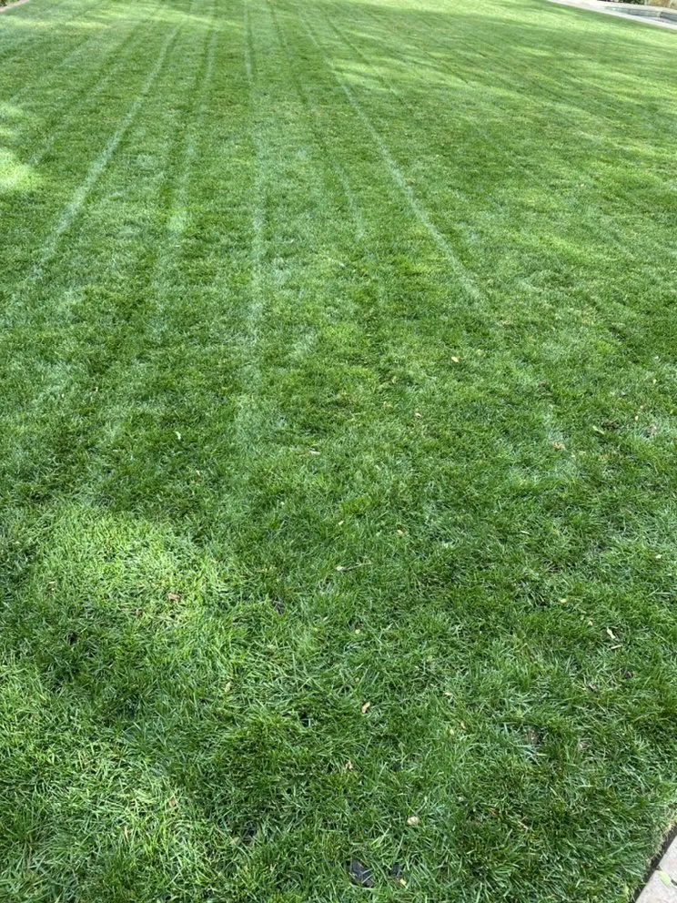 Trusted outdoor landscaping for beautiful yards across Sacramento, CA - Salvador Landscape