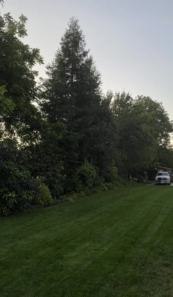 Top-rated landscaping services in Sacramento, CA - Salvador Landscape