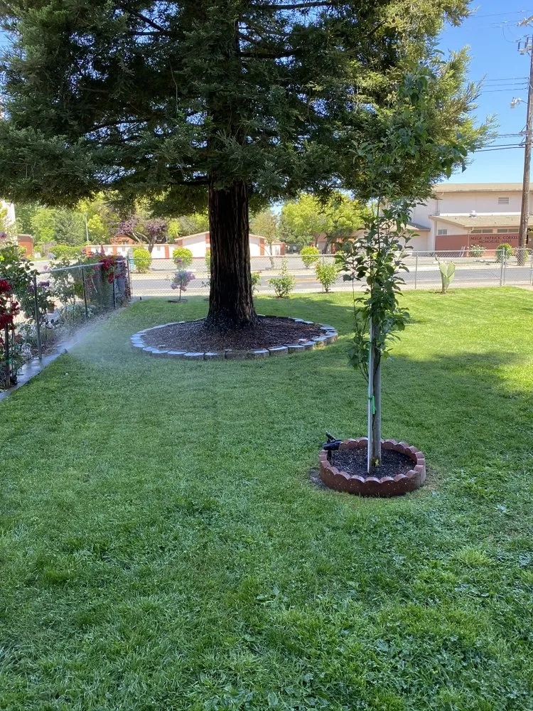 Reliable residential landscaping for residential properties in Sacramento, CA by Salvador Landscape