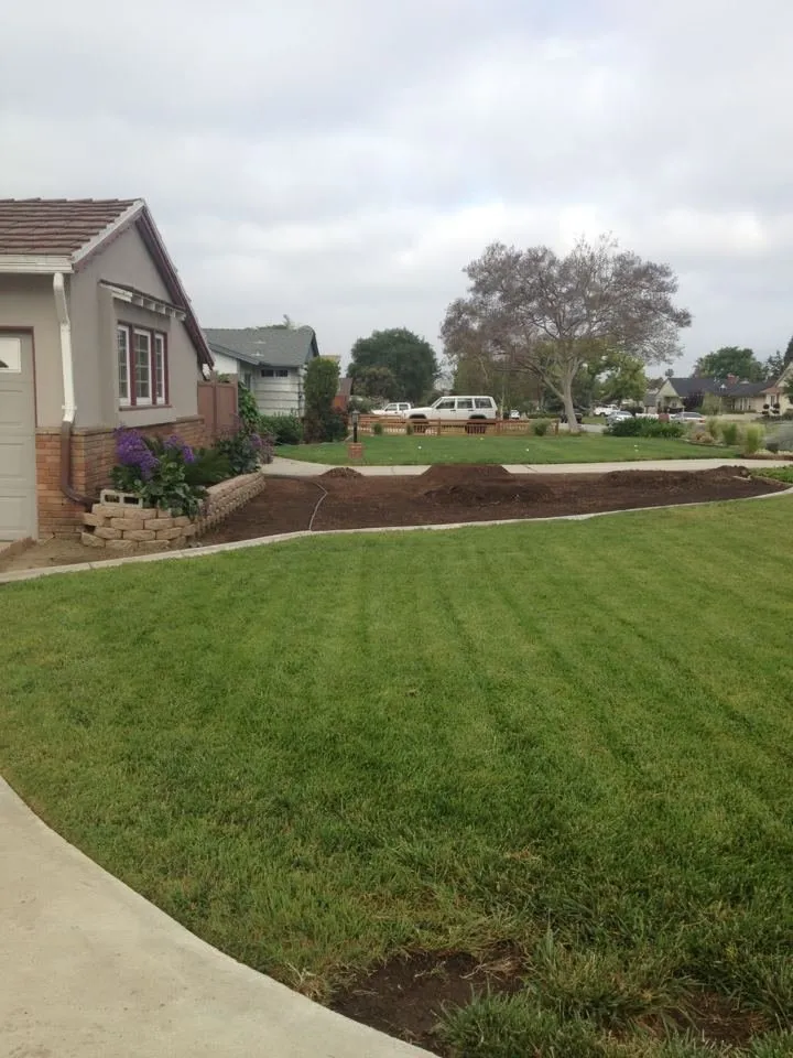 Expert yard maintenance experts serving Sacramento, CA - Salvador Landscape