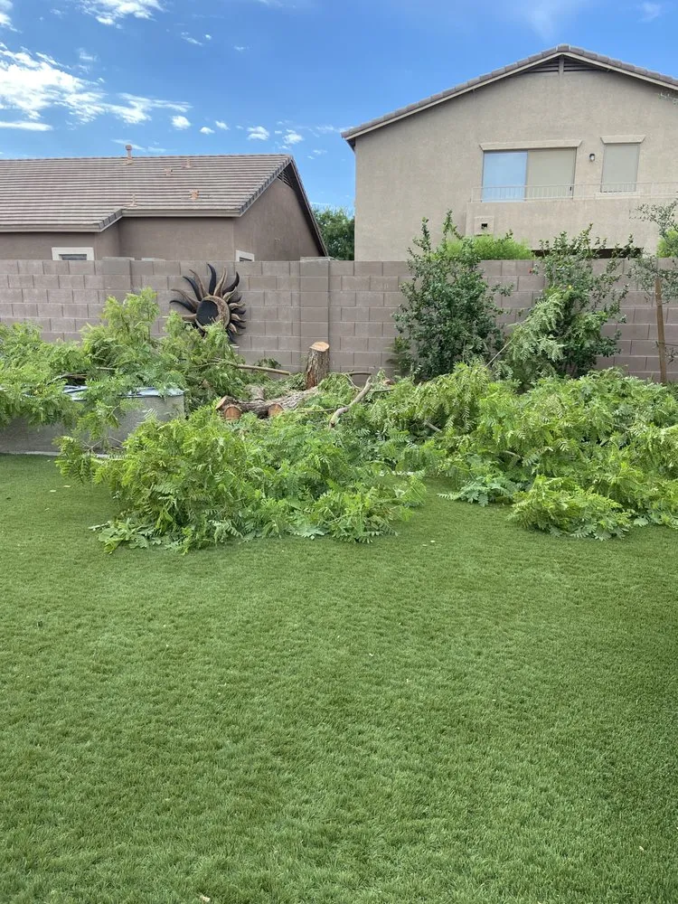 Affordable landscape installation near you in Phoenix, AZ by Salvador Landscaping