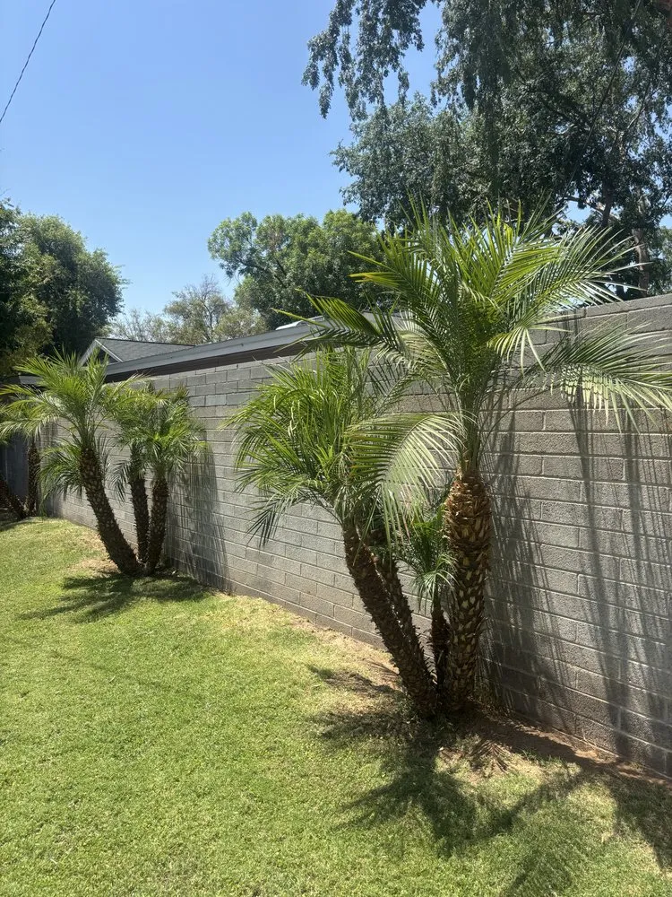 Professional landscape design with custom design in Phoenix, AZ by Salvador Landscaping