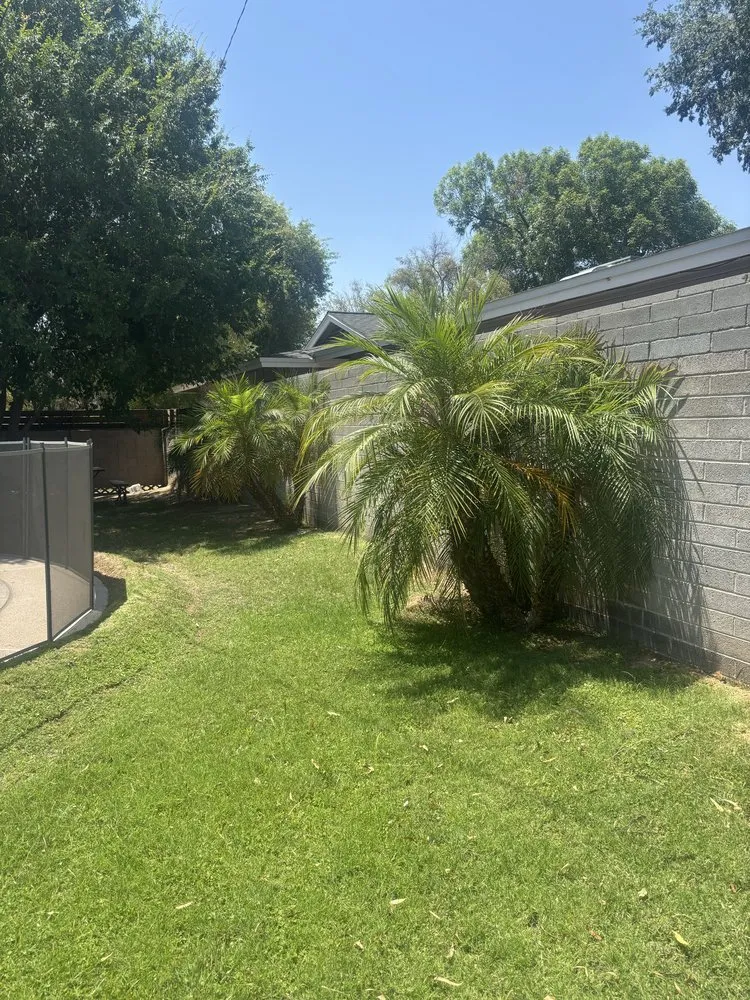 Expert residential landscaping in Phoenix, AZ by Salvador Landscaping