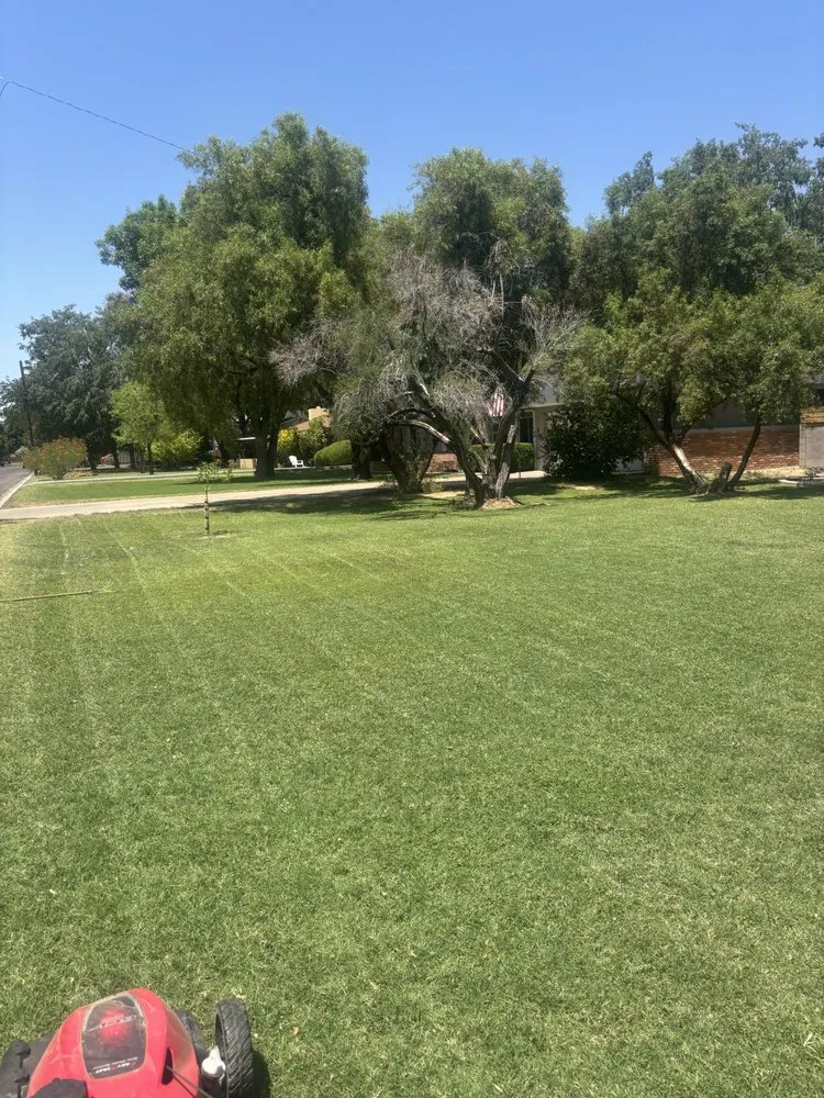 Trusted garden landscaping in Phoenix, AZ by Salvador Landscaping