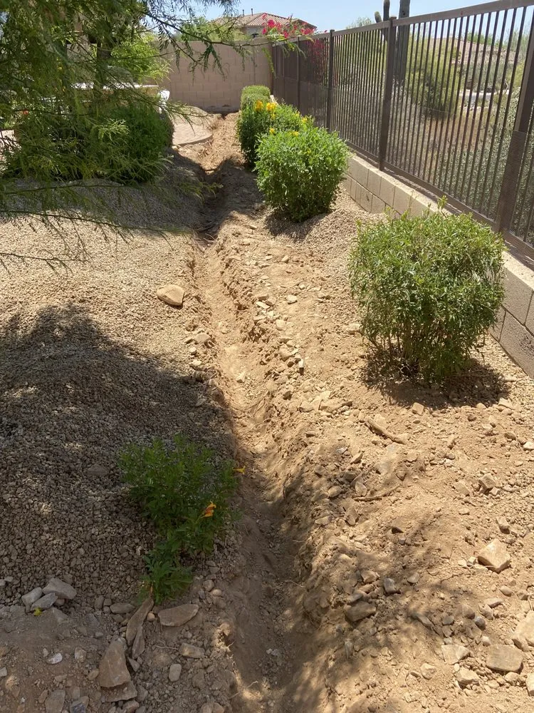 Expert yard cleanup service in Phoenix, AZ by Salvador Landscaping