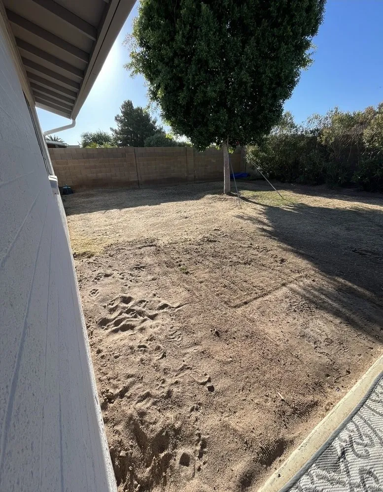 Affordable garden landscaping in Phoenix, AZ by Salvador Landscaping