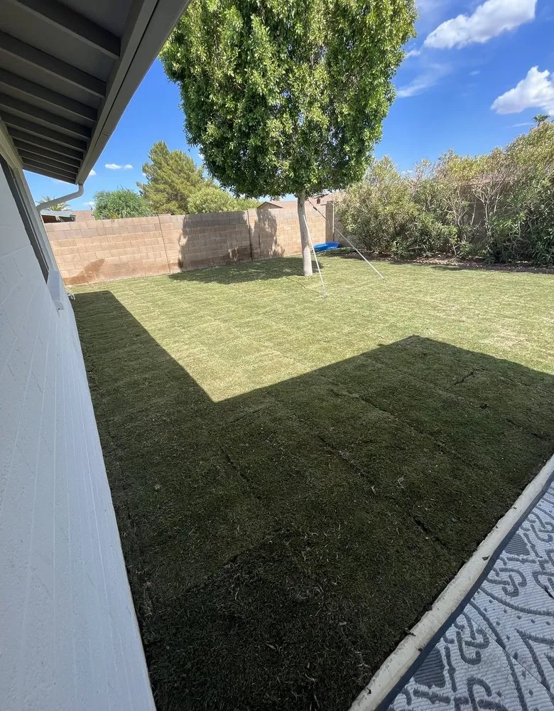 Local yard maintenance for beautiful yards across Phoenix, AZ - Salvador Landscaping