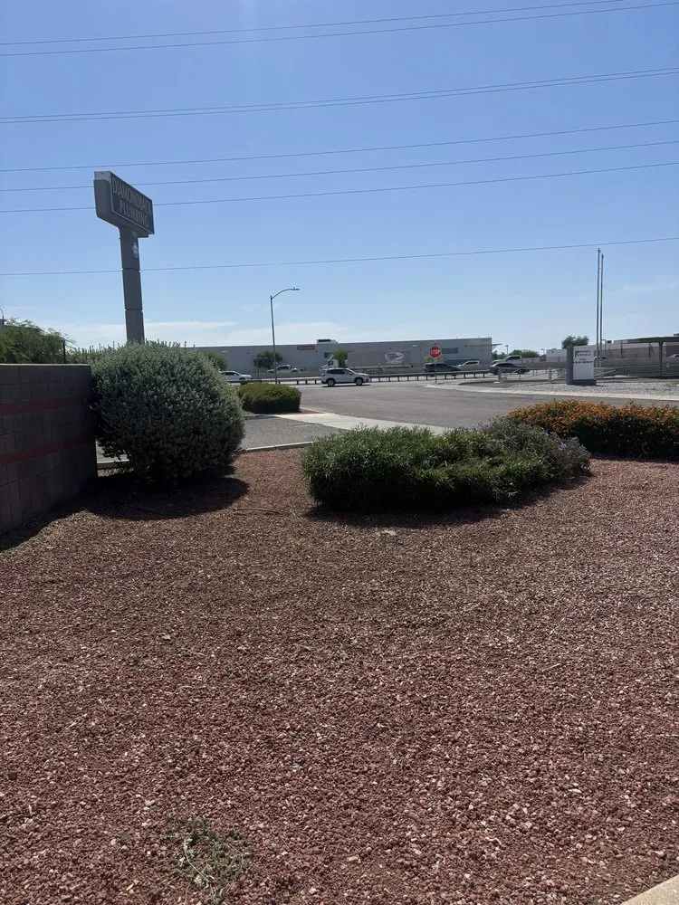 Top-rated landscape design near you across Phoenix, AZ - Salvador Landscaping