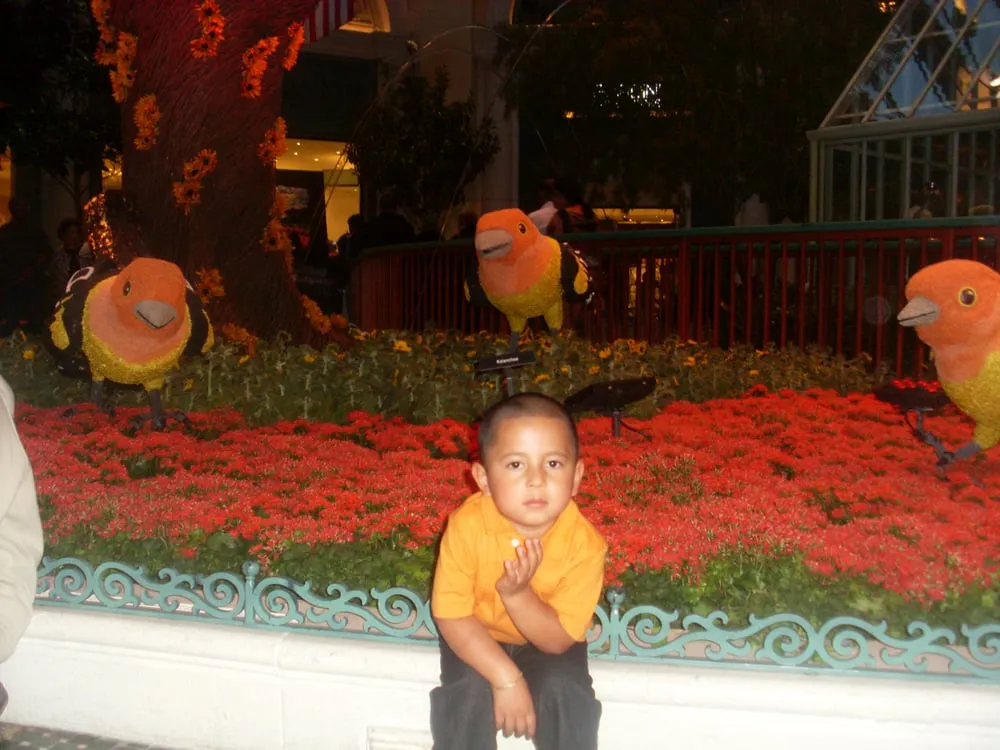 Affordable lawn care service near you across Richmond, CA - Salvador Landscaping