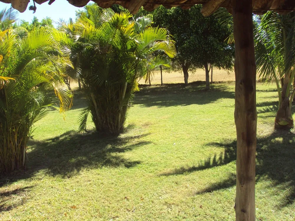 Local outdoor landscaping for residential properties in Richmond, CA by Salvador Landscaping