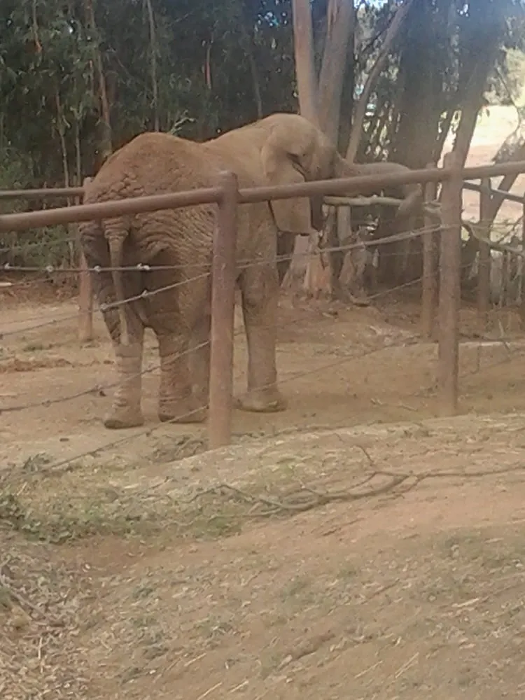 Expert landscape installation for year-round maintenance across Richmond, CA - Salvador Landscaping